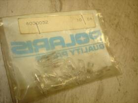 4030052 Polaris Qty 10 Genuine Warning Bulb Part Number -