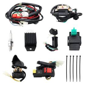 Dhsmwh004 Pro Bat Full Wiring Harness Loom Solenoid Coil Regulator 50cc 70cc 90cc 110cc 125cc Dirt