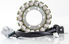 2111-0199 Ricks Motorsport Electric Stator 21-819 268949 27-21819