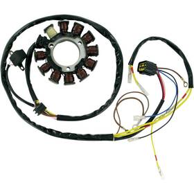 21-556 Ricks Motorsports 12 Pole Stator #21-556 Polaris
