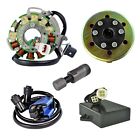 Rm22853 Rmstator Kit Stator 100w