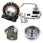 Rm23028 Rmstator Kit Flywheel Puller