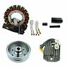 Rm23038 Rmstator Kit Flywheel Puller Stator Regulator For Arctic Cat