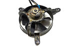 S19005rb1000 06 Can-am Ds250 Radiator