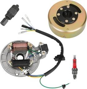 Shiqinha Sh-dhc-01 2 Coil Ignition Magneto Stator Compatible With Tao Coolster 125cc 110cc 90cc