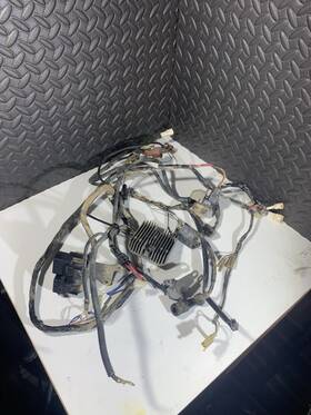 36610-09fe0 Suzuki 1998-2002 Quadrunner 500 Lt 500f Lt500f Oem Main Wiring Wire Harness Loom