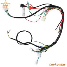 Luc1479714 Tectech Electric Wiring Harness For Chinese Atv Utv Gokart Taotao 50 70 90 110 125cc