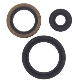 Aten-po475419-02 Winderosa 2008-2013 Polaris Sportsman Touring 500 Efi Atv Vertex Engine Oil Seal Kit Aten-po475419-02 Winderosa 2008-2013 Polaris Sportsman Touring 500 Efi Atv Vertex Engine Oil Seal Kit