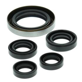 Aten-po476387-23 Winderosa 2003-2004 Polaris Predator 500 Atv Vertex Engine Oil Seal Kit