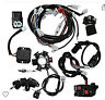 X0024796np Otohans Full Electric Wiring Harness Loom Stator Cdi Coil Atv