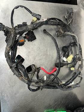 1s3-82590-21-00 Yamaha Raptor 700se/r 10-12 Genuine Oem Wiring Complete Harness