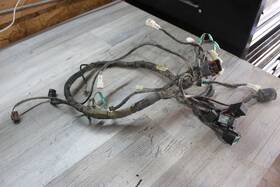 1sc-h2590-10-00 Yamaha Grizzly 300 Yfm300g Main Engine Wiring Harness Motor Wire Loom