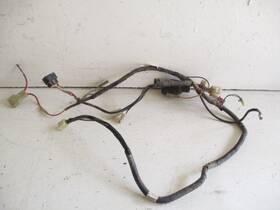 5gf-82590-00-00 Yamaha 02 Ttr 250 Wiring Harness 1999-2006