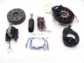Yamaha 705464675589 Powerdynamo Mz-b Ignition System Stator For Yfz350 Banshee Nut 2 Crank Dc