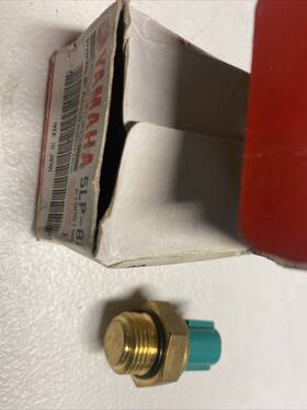 82560 Yamaha 00 Thermal Switch Assembly 5lp 0em