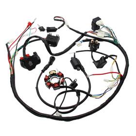 Yd-gy6-125 Yd-ps001 Full Electrics Stator Wiring Harness Cdi Coil Solenoid For Gy6 125cc 150cc At