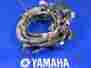 5tg-82590-00-00 Yfz450 Yamaha 2005 Uncut Electrical Wiring Harness Wire Cord Plug