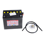 Yuam2216y Yuasa High Performance Conventional Battery Volt 048493221694