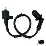 New Ignition Coil Ds 70 Can-am Mini 2008-2012 Oem #V30510CJF040LL. Fixed Price $33.95.