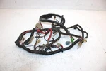 1998 Polaris Magnum 425 4X4 Oem Main Wire Harness 2460608 AP97. Fixed Price $85.99.