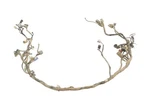 Kawasaki Brute Force 650 06 Wiring Harness 26031-0760 54136. Fixed Price $94.99.