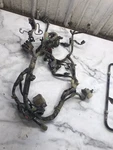 08 Honda Engine Wire Wiring Harness Loom. Fixed Price $210.00.