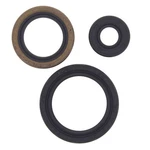 2008-2013 Polaris Sportsman Touring 500 Efi Atv Vertex Engine Oil Seal Kit. Fixed Price $18.20.