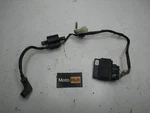 2002 02-04 Yamaha Oem Cdi Ecu Wiring Harness Loom W/ Coil. Fixed Price $299.00.