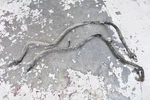 2009 Yamaha Grizzly 350 Battery Cable 5UH-H2116-00-00 Lead. Fixed Price $14.99.