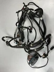 2015 Polaris Ace 570 Main Wiring Harness Wire Electrical Fuse Box 2412899. Fixed Price $275.00.