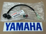Yamaha Raptor 350 Dash Pilot Lights Electrical Reverse Neutral 04-13. Fixed Price $59.99.