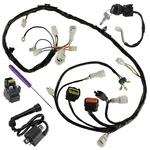 Wiring Harness Switch Key Coil Starter Relay For Suzuki Quadsport LT-Z400 05-08. Fixed Price $98.00.