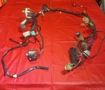 #2 2004 Honda Fourtrax Main Wiring Harness 32100-HN7-000. Fixed Price $199.95.