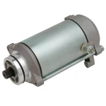 Ricks Electric Starter Motor Kawasaki KLF300A KLF300B KLF300C Bayou 2X4 4X4. Fixed Price $149.95.