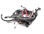 Polaris 2007-2008 Trail Harness Main Boss 330 2410883 New Oem. Fixed Price $614.99.