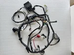 Suzuki Eiger 400 4X4 Wiring Harness/cdi Box. Fixed Price $399.95.