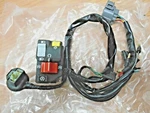 Honda Trx 300EX Left On/off Start Button Switch & Headlight Socket Assy 1998-04. Fixed Price $109.95.
