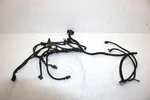 2009 Polaris Trail Boss 330 Oem Main Wire Harness 2411129 AP181. Fixed Price $283.99.