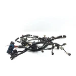 Polaris 2018 Rzr 900 Main Engine Wiring Harness 3438 X 2414024. Fixed Price $310.69.
