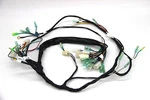 Fits Yamaha Dt 200 (one Radiator) Loom Wiring Harness Guide Included. Fixed Price $72.99.