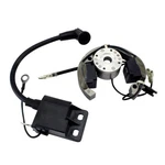 Stator/rotor/coil Kit Ktm SF-900-004047. Fixed Price $96.68.