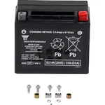 Yuasa Ytx Agm Battery 12V 310A 18AH Atv Utv Motorcycle Snowmobile. Fixed Price $123.21.