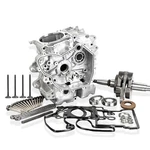 Polaris Ranger/rzr 570 2012-2017 Master Engine Rebuild Kit With Crank Cases. Fixed Price $1595.99.