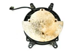03 Can-am DS650 Baja 2X4 Radiator Fan Bombardier. Fixed Price $59.99.