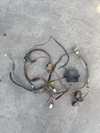 2006 Yamaha Raptor 80 Used Wiring Harness 5TH-82590-00-00. Fixed Price $149.99.