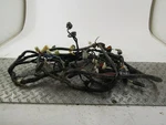 2003 Kawasaki Prairie 360 Main Engine Wiring Harness Motor Wire Loom 26030-7509. Fixed Price $69.00.