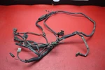 2004 Polaris Trail Blazer 250 Main Engine Wiring Harness 2461222. Fixed Price $99.99.