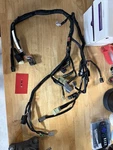 New 2025 Kawasaki 25-26 KX250 Oem Electrical Main Harness 26031-4239. Fixed Price $239.00.