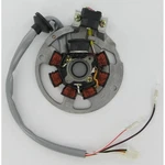 Ricks Motorsport Electrics Stator 21-550. Fixed Price $118.95.