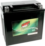 Power Max Maintenance-free Battery For 2001-2011 Honda TRX500FA Fourtrax. Fixed Price $94.67.